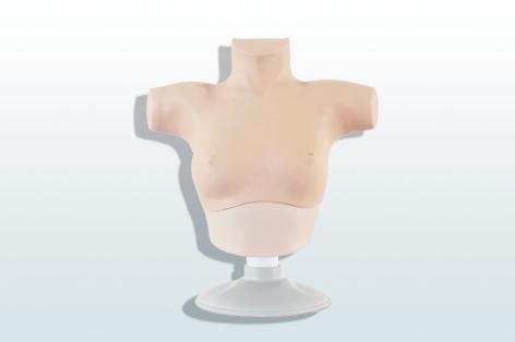 乳腺癌觸診、視診訓(xùn)練模型